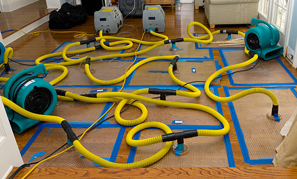 Professional Basement Flood Cleanup technician working in Lineville, AL