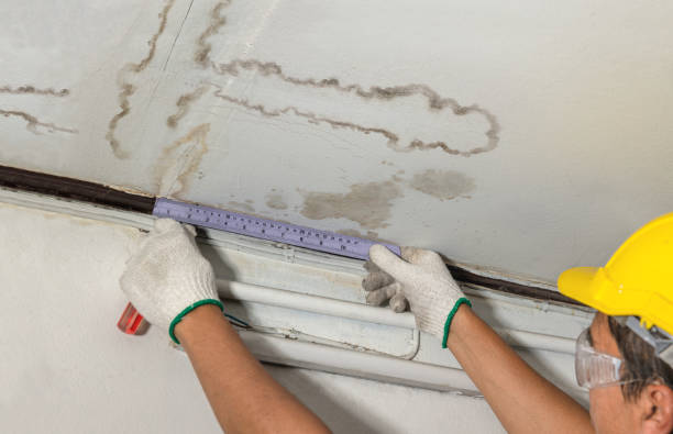 Affordable Water Damage Repair solutions in Lineville, AL